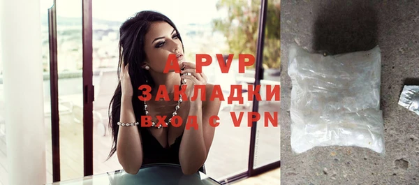 индика Абаза