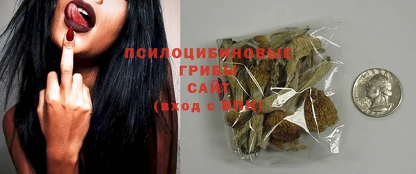 индика Абаза