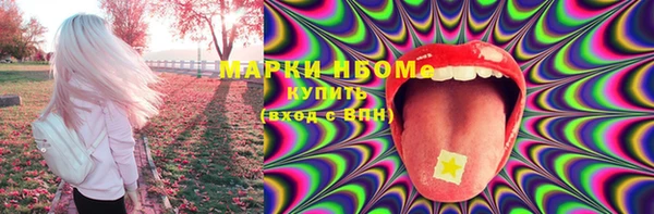 индика Абаза
