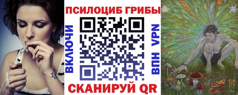 кракен зеркало Райчихинск Галлюциногенные грибы прущие грибы